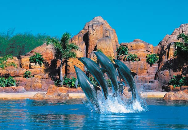 Amazing Australia Amazing Australia